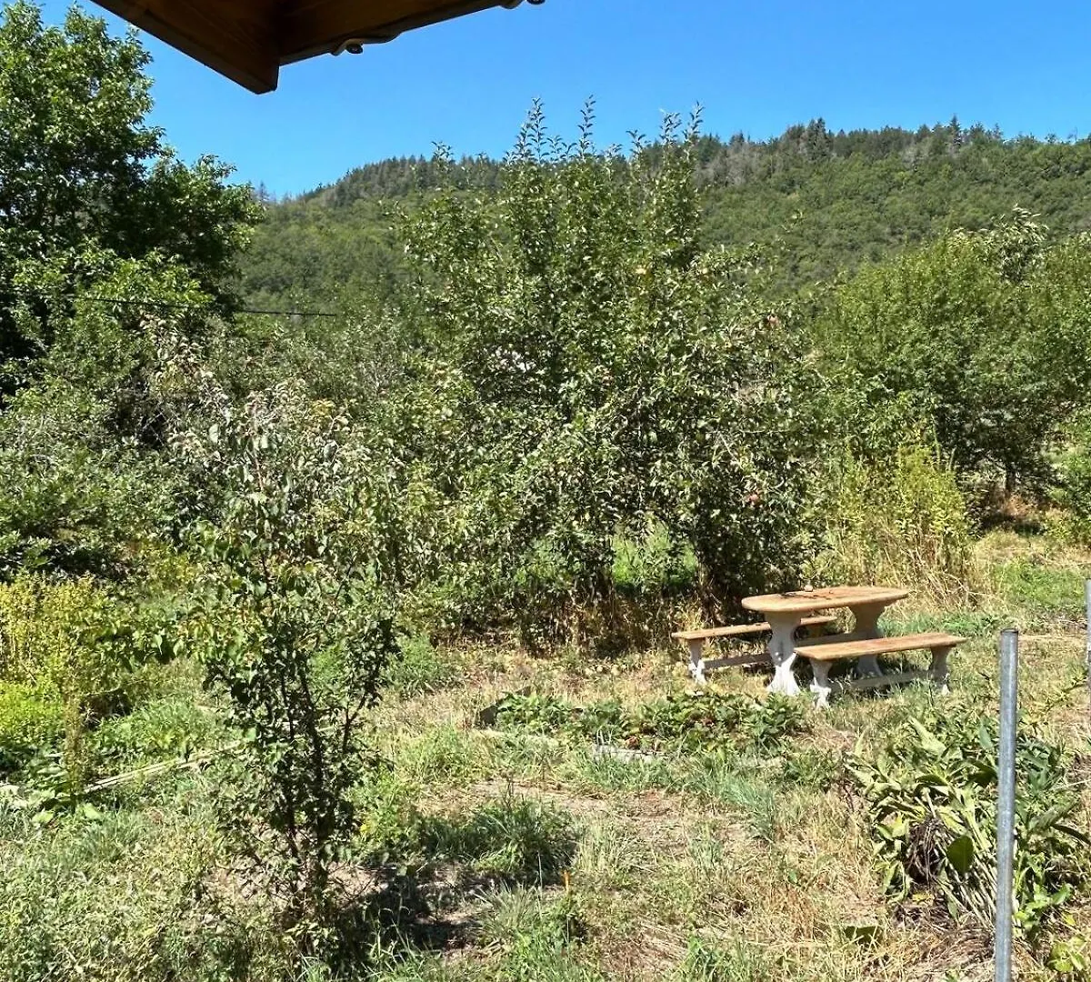 Charmant Chalet Sur Terrain Arbore Fayet